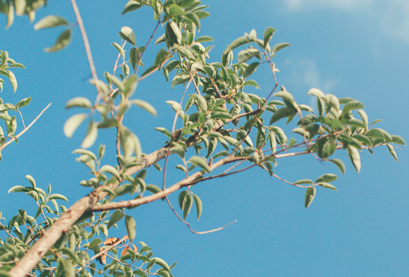 NUAGC6_Q_}K6F`3B$6KAXGF.png NUAGC6_Q_}K6F`3B$6KAXGF.png