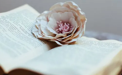 18.png 五行缺水的女孩容易出现哪些问题,女命八字一个水都没有