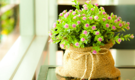 357.png 五行缺水不适合的颜色,火猪五行缺水佩戴什么