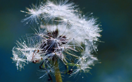 202.png 女人缺金缺水大富大贵,女人五行属什么命最好
