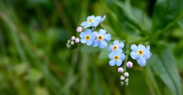 73.png 2023年8月4日五行穿衣指南,五行穿衣今天穿什么颜色