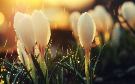 101.png 2023年8月7日五行穿衣指南,每日穿衣五行颜色口诀