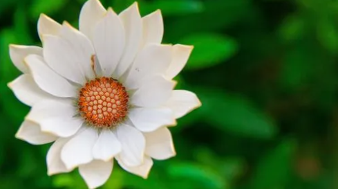 88.png 2023年8月8日五行穿衣指南,2023年每日五行穿衣颜色指南