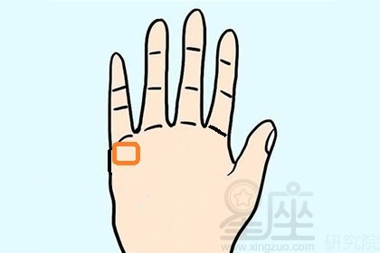 掌丘是在手掌上凸出或隆起的肉垫,水星丘是其中的一个.