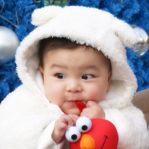 属虎的人取名有哪些宜忌,2022属虎男孩最吉利的名字