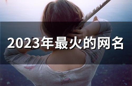 2023年最火的网名,2023经典个性游戏名