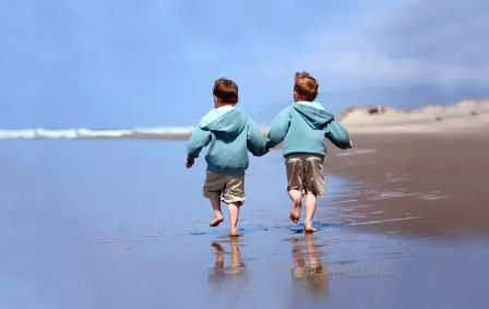 楚辞有典故的双胞胎名字,楚辞诗句取名双胞胎