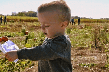 诗经里面适合男孩的名字