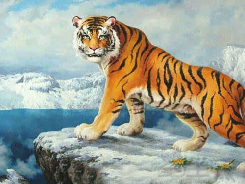 属相虎的宝宝起名忌讳字