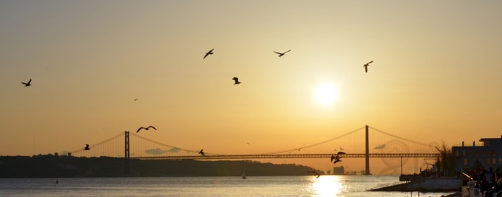 男孩取名:属兔的人起名宜用字