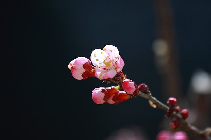 2021年春天出生五行属水的乳名,宝宝小名起名大全