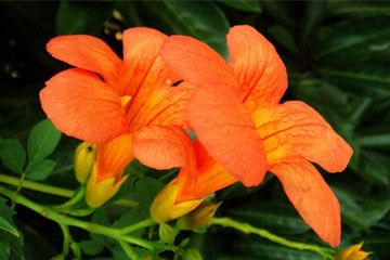 2021搞笑游戏名字大全，经典个性的搞笑游戏名