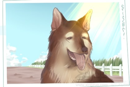 好听的男狗狗名字大全 霸气又拽的名字