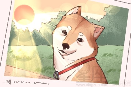 狗狗名字霸气独特 母狗当世无双的名字