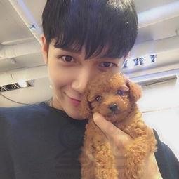 英雄联盟名字全服务器最好听最霸气