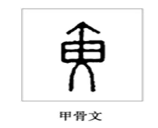 中国100大姓氏图腾，你能读懂他们的含义吗？