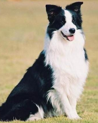 PGEXRWXOLT(AIHGW}N87N}7.png PGEXRWXOLT(AIHGW}N87N}7.png