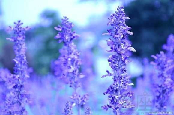 化妆品公司名字高端洋气