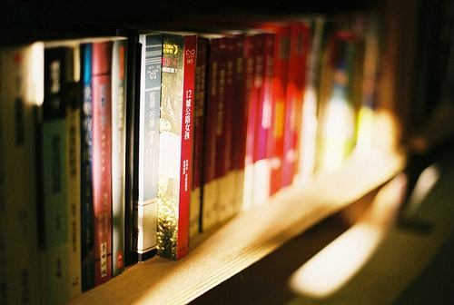 桂悦馨 桂曼雁 桂兰钰 桂忆云 桂丝媛 桂紫心 桂惠琳 桂永妍 桂诗蔓