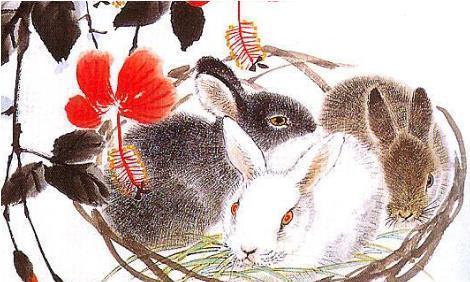 2023年属兔水命取名字,水兔命起名字注意什么