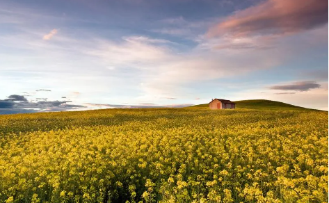 12.png 2023好听两个字理发店名字,理发店名字大全创意有档次