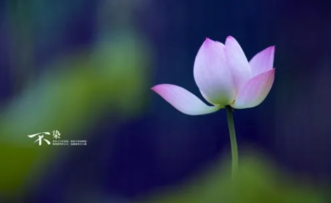 35.png 2023兔最旺女孩四字名字,属兔的女孩取什么名字好