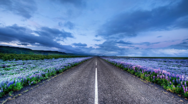 43.png 2023好听珠宝店名字大全,珠宝店名字高雅大气