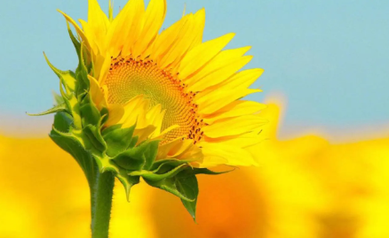 67.png 五行缺金的人怎么补金的名字,五行缺金补金的字大全