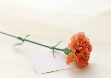 79.png 五行缺金女孩名字大全,女宝宝缺金取名大全