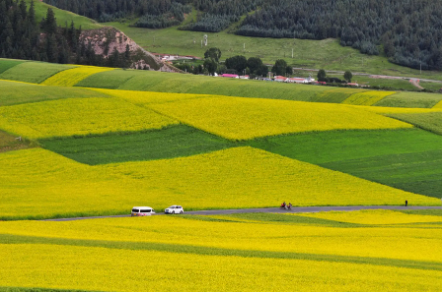 土7.png 缺土的名字女孩洋气点,缺土的名字女孩取名字