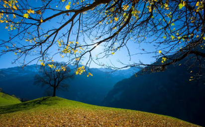 风景3.png 风景3.png