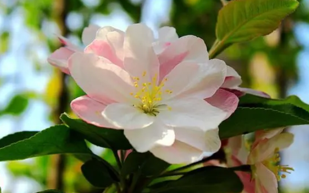 2023年男兔宝宝取名,2023年高姓男孩取名