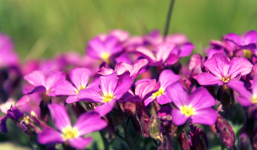 2A(SNP_76JC3YP~FF$(~ILG.png 2A(SNP_76JC3YP~FF$(~ILG.png