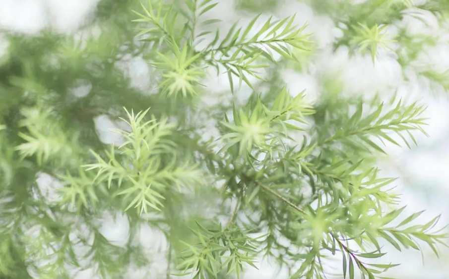 WXY8WKNSPX6F[[~@ID@L6WP.png WXY8WKNSPX6F[[~@ID@L6WP.png