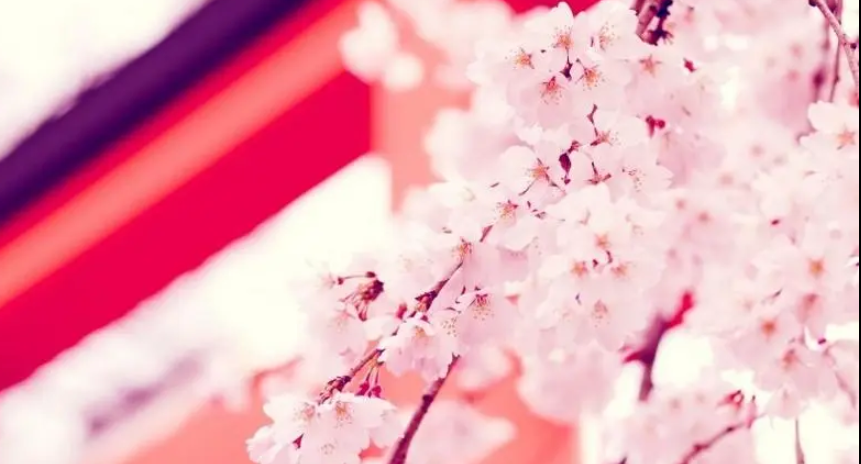 NB1(ON~BY1F25O$8FTDX4Q4.png NB1(ON~BY1F25O$8FTDX4Q4.png