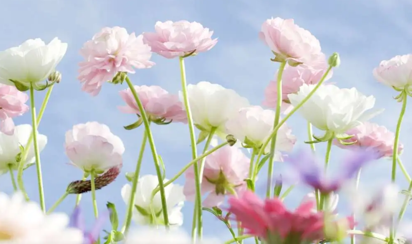 ~D_QY{30X_O6)ZUJN@O@_~M.png ~D_QY{30X_O6)ZUJN@O@_~M.png