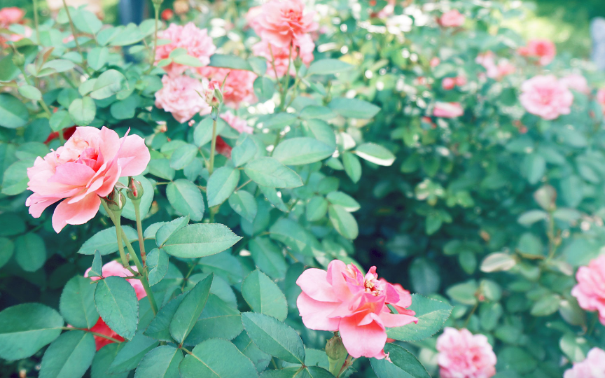 $WHA8S0HR99U4}%R(~EL22J.png $WHA8S0HR99U4}%R(~EL22J.png