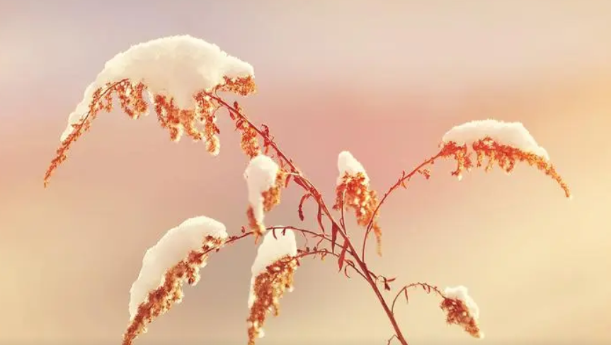 V)HVJFFVA9M0{HOG9G}}2YW.png V)HVJFFVA9M0{HOG9G}}2YW.png