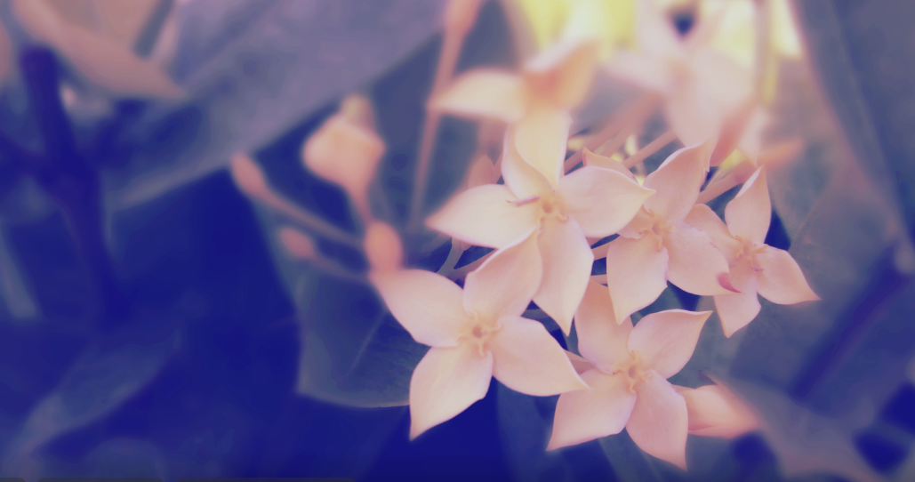 (T@DA6`YA~S_C997(5$$ZMI.png (T@DA6`YA~S_C997(5$$ZMI.png