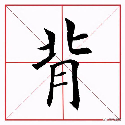 月字旁的字有什么,月字旁的字有哪些