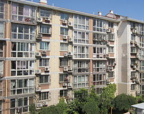 属鼠金命买楼房买几层,属鼠住几层好