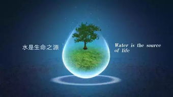 有属金带水的命吗,金命的名字有水旁和火旁怕吗