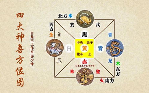 五行属金的脏是什么,中医上说的五行对应内脏分别是什么？