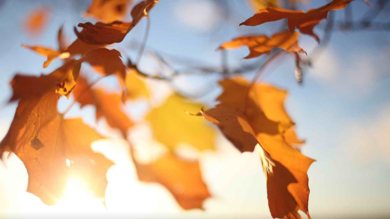 9HVSJR6279ZUU~}GAPALBTU.png 9HVSJR6279ZUU~}GAPALBTU.png