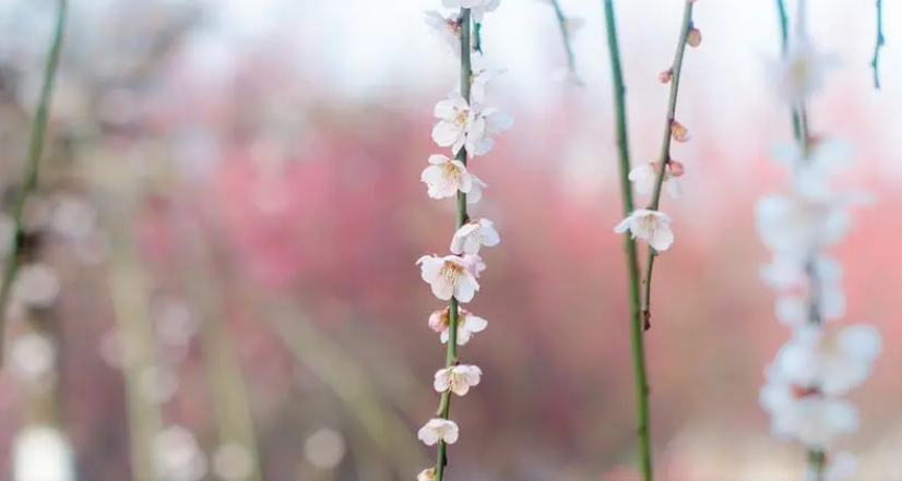 $4JD$`U9}%Y@SLAMZLT3BYL.png $4JD$`U9}%Y@SLAMZLT3BYL.png