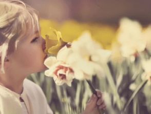 女孩小名五行属金带火的,五行属火和属金的女孩名字