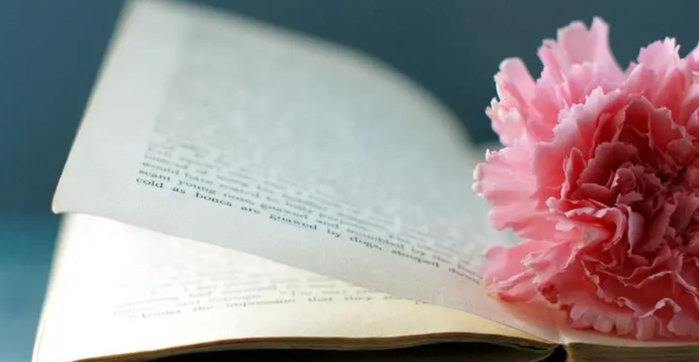 ((LM%HV{[XEGBLRD8}CJI%1.png ((LM%HV{[XEGBLRD8}CJI%1.png