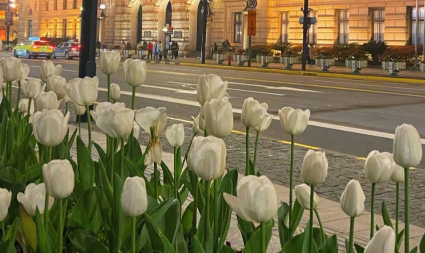 (8_}57KUSYMY[1P[W8)X4XF.png (8_}57KUSYMY[1P[W8)X4XF.png