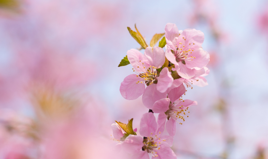 {%S$X28JSF$H)E`VQ3[E3**.png {%S$X28JSF$H)E`VQ3[E3**.png