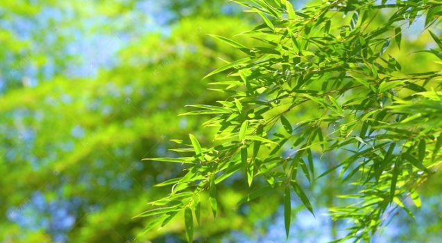 LZR436{QX6W2YM%DFB)RRVX.png LZR436{QX6W2YM%DFB)RRVX.png